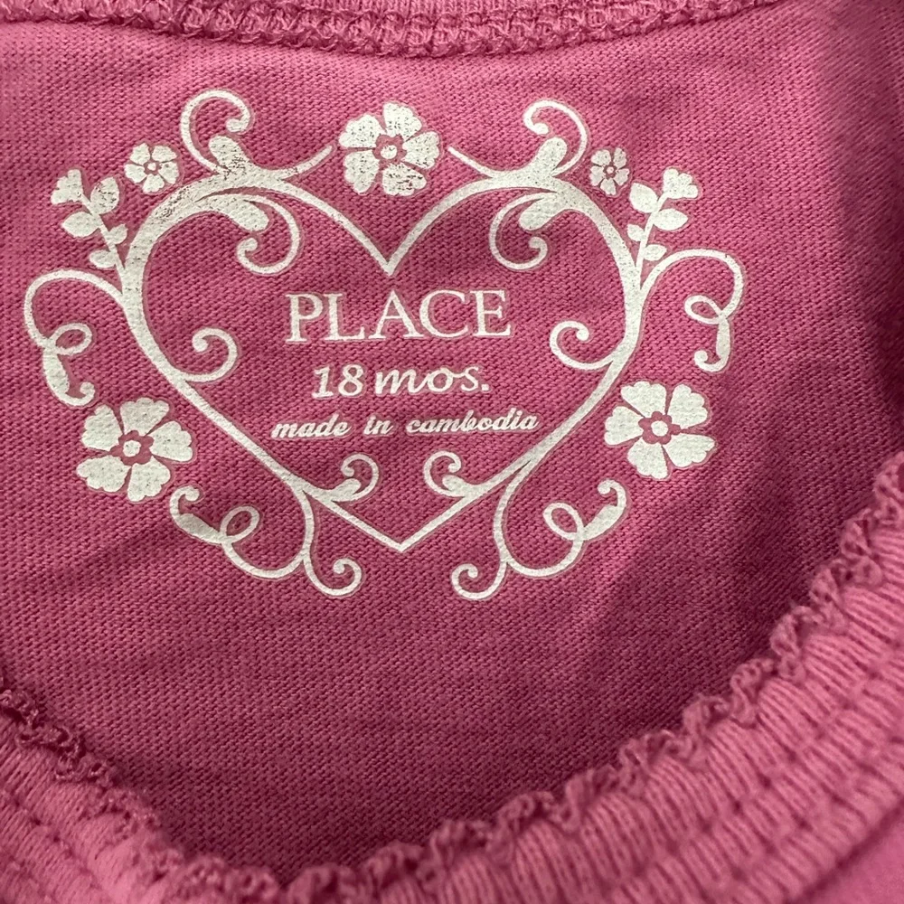 The Children’s Place Embroidered Patch Long Sleeve T-shirt in Pink Size 18 Mos